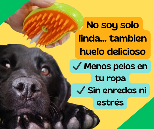 Cepillo Vaporizador Para Mascotas 3 En 1