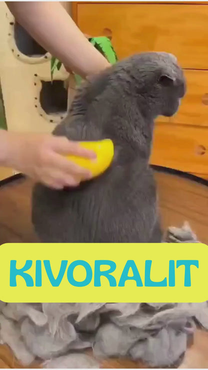 Cepillo Vaporizador Para Mascotas 3 En 1